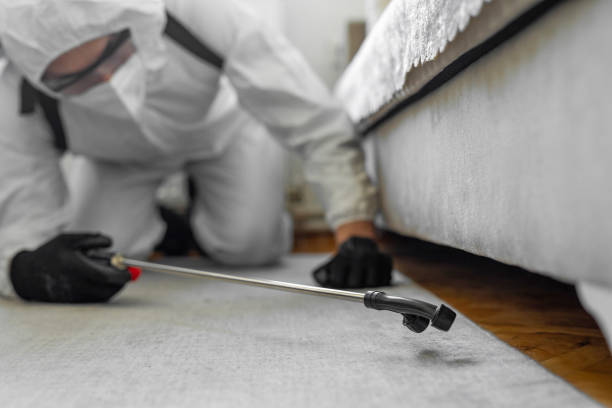 Professional Cockroach Control technician working in Neshanic Station, NJ