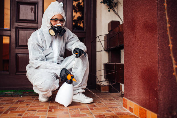Reliable Cockroach Control contractor in Neshanic Station, NJ by Nex Pest Control