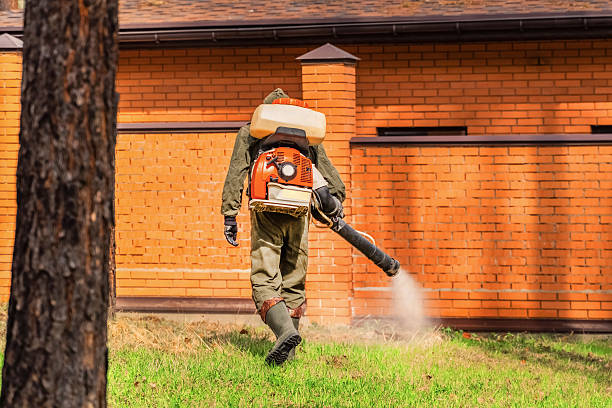 Trusted Ant Control service in Neshanic Station, NJ - Nex Pest Control